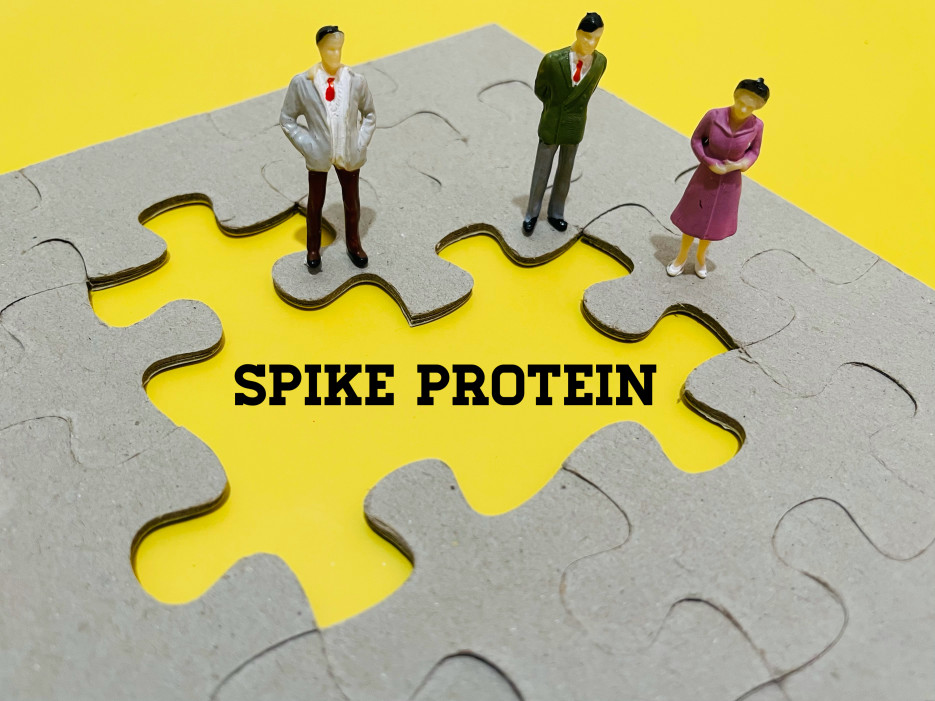 blog spike protein