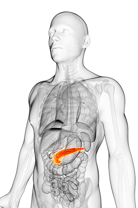 euromedica endocrinologia